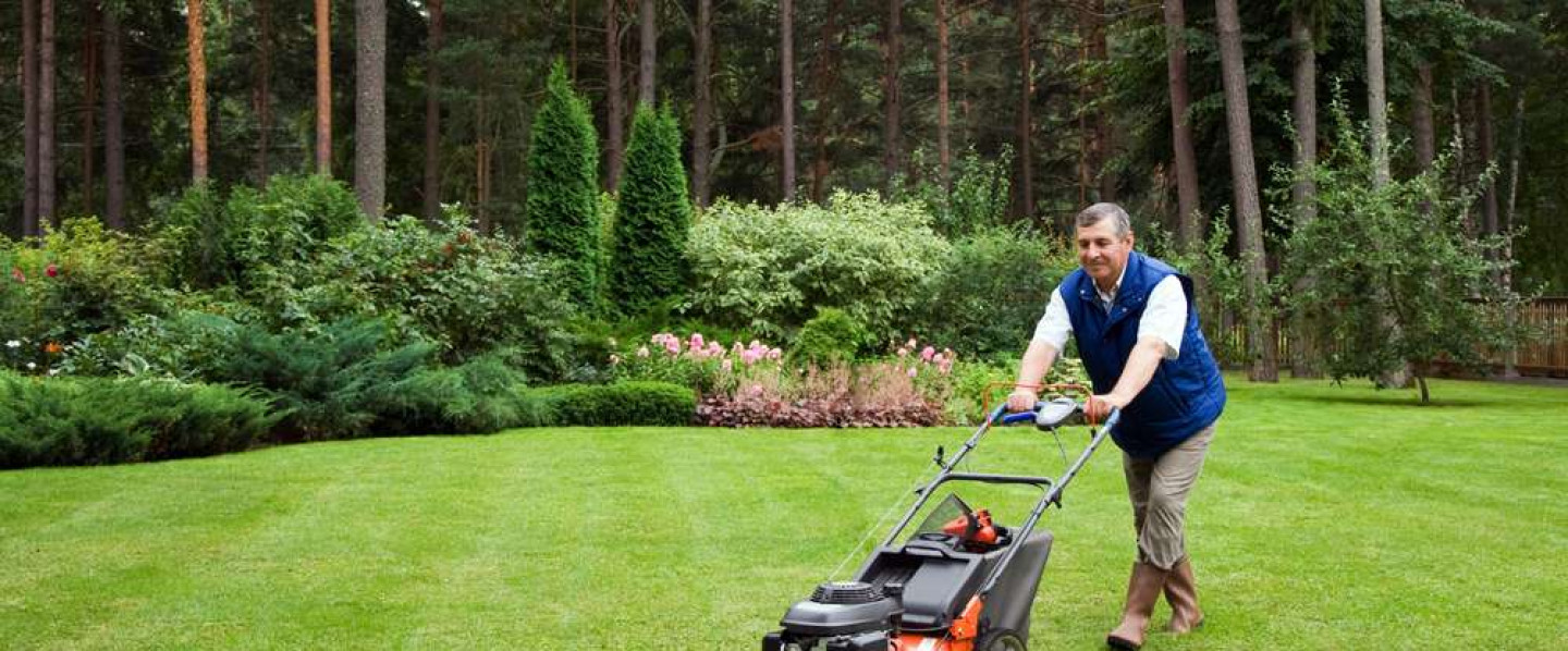 Arien Mowers